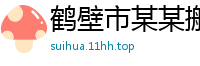 鹤壁市某某搬家维修网点